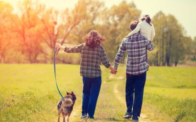 5 Benefits of Walking Your Dog