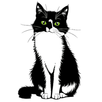 SUBMIT YOUR APPLICATION TO APPLY