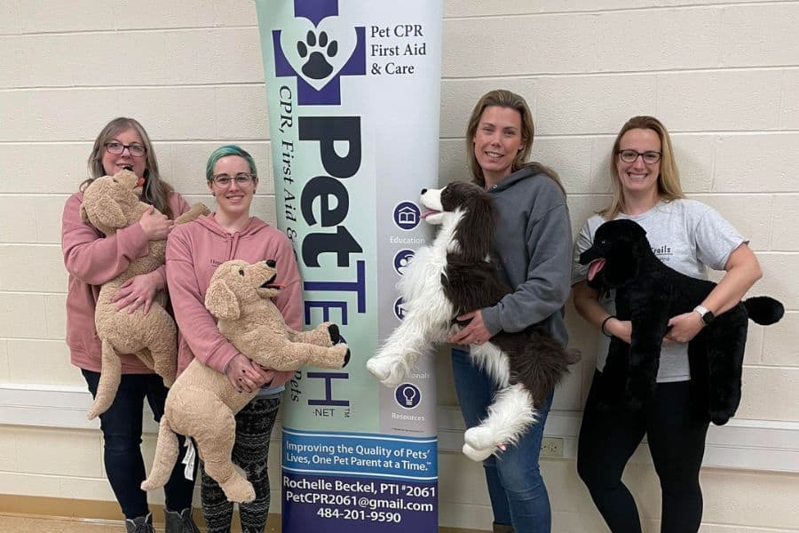 Why Hiring a Professional Dog Walker Is the Safer, Smarter Choice