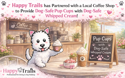 Pup Cups, Done Right: A Sweet (and Safe) Treat for Your Dog