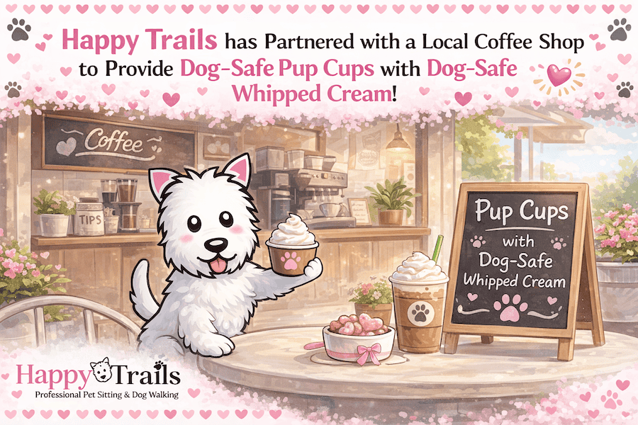 Pup Cups, Done Right: A Sweet (and Safe) Treat for Your Dog